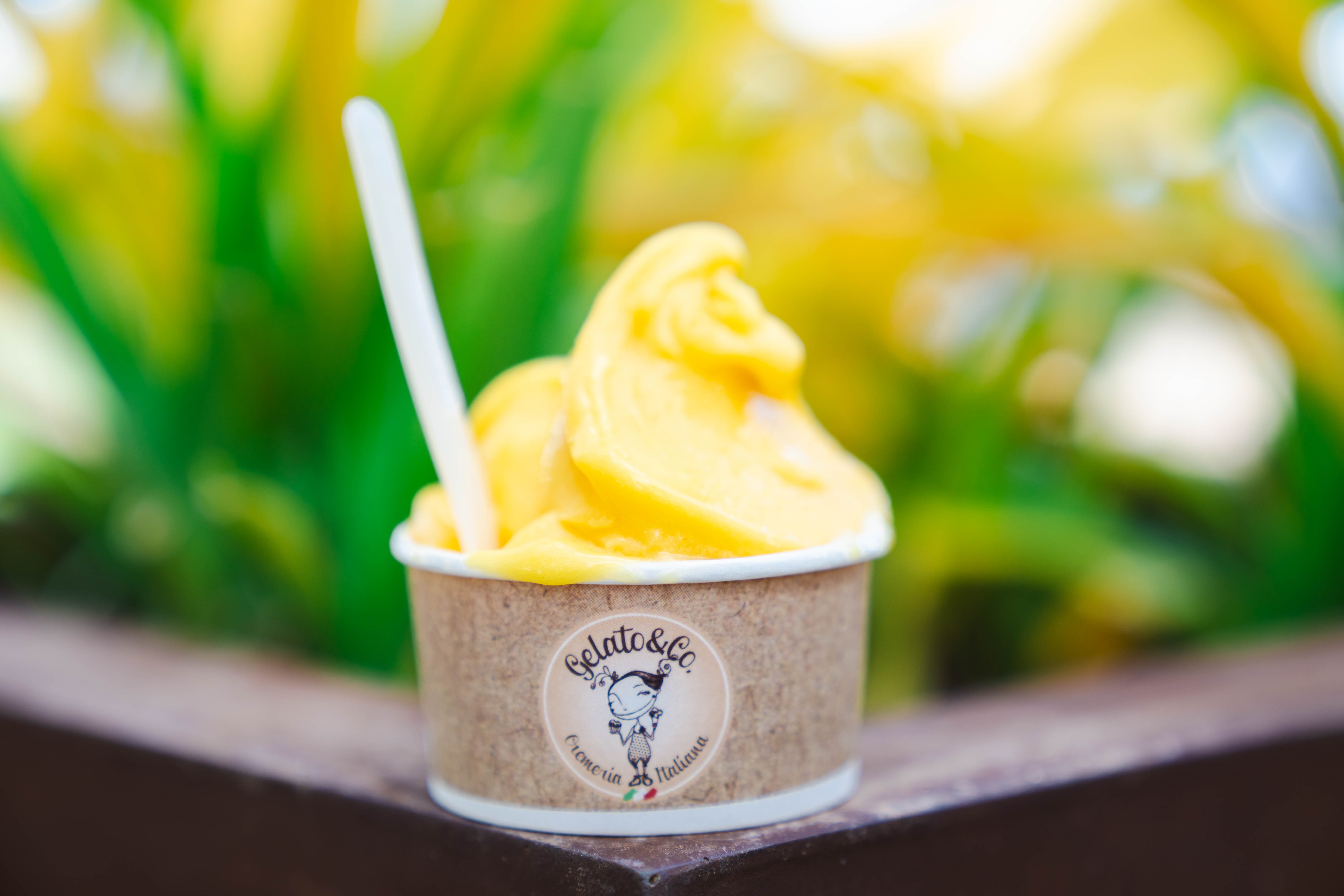 mango sorbet at gelato and co