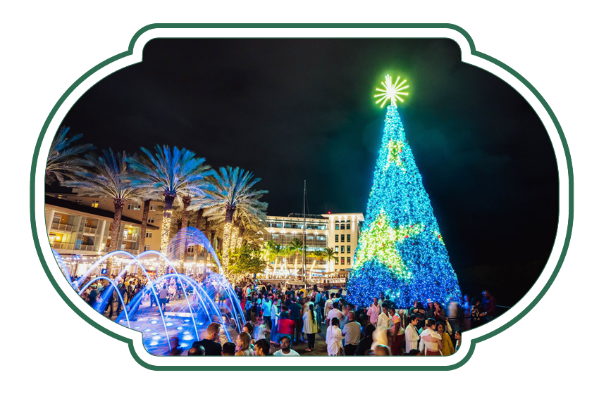 Camana Bay Tree Lighting