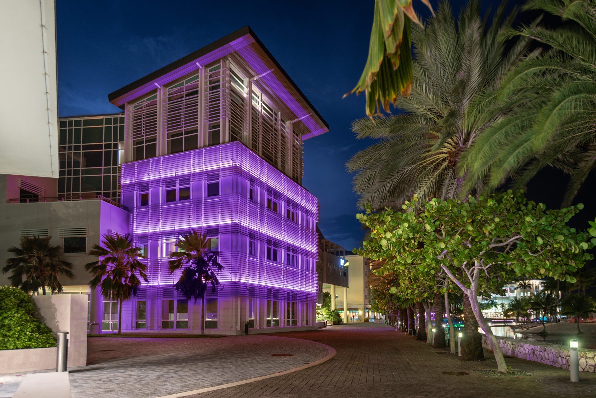 building lit up in purple