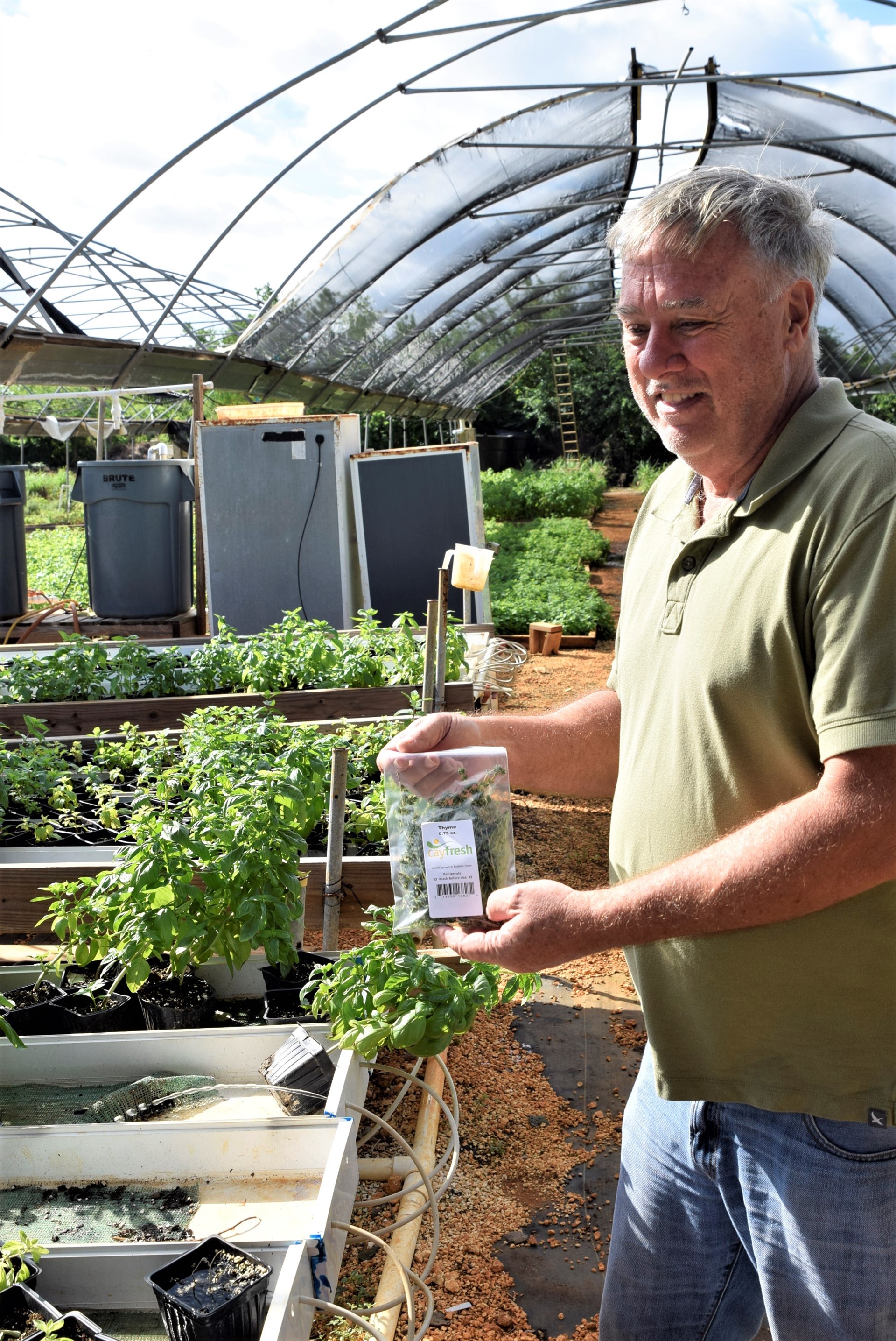 man holding herbs in greenhouse