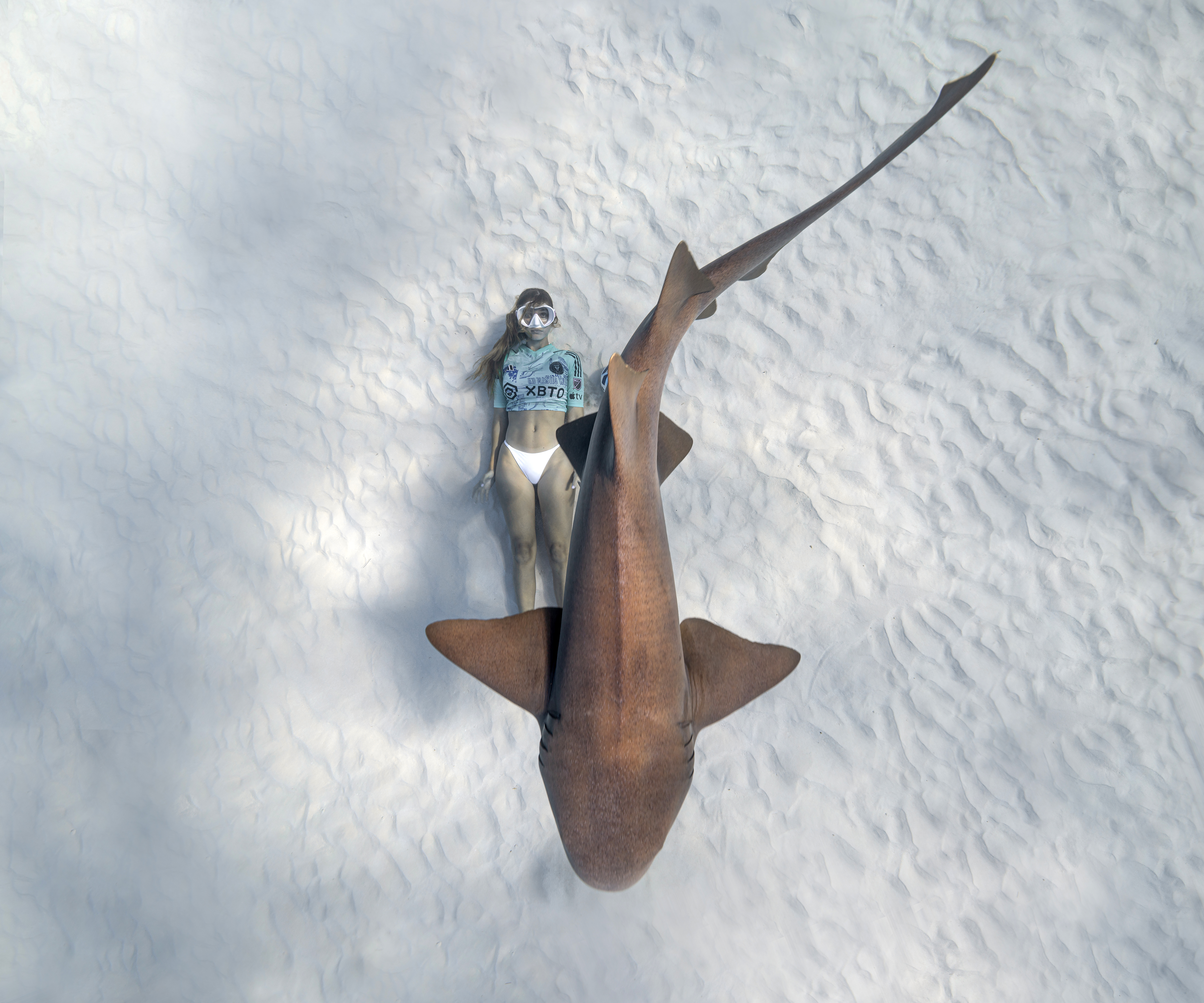 Freediver and shark underwater