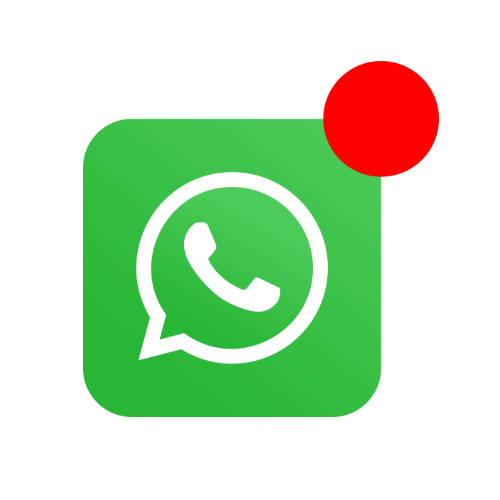 WhatsApp notification